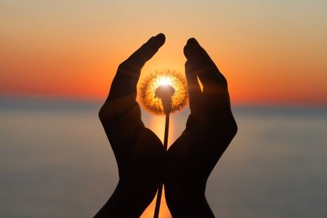 energievelden menselijk lichaam