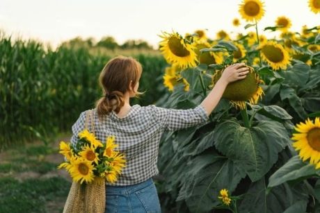 Energievelden menselijk lichaam