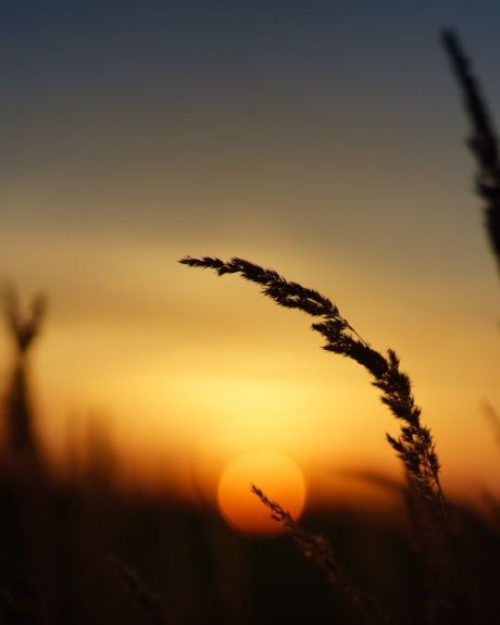 Anti-stralingsoplossing Frequenz-Welle